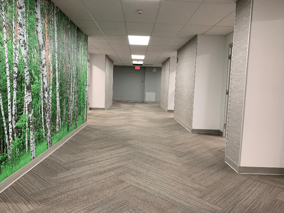Biophilic corridor at The Craig School 